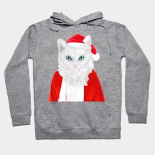 Santa Cat Hoodie